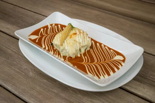 beef enchiladas with red sauce cheese cilantro